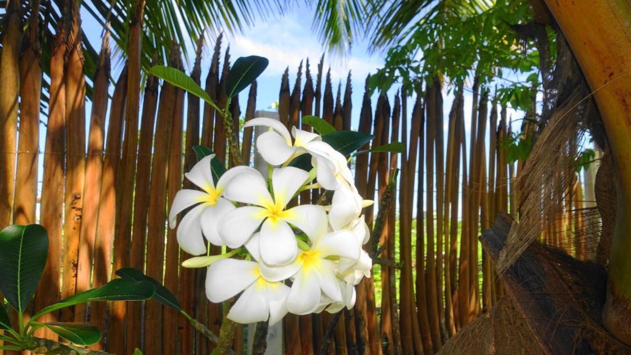 Regina Beach Bungalow Trincomalee Exterior foto