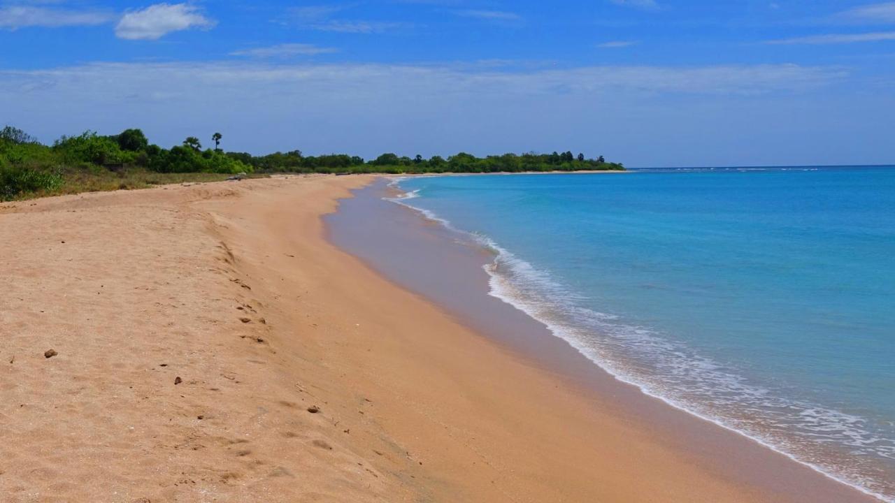 Regina Beach Bungalow Trincomalee Exterior foto